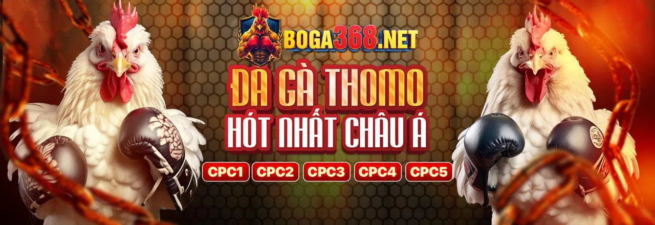 Sân vận động bóng đá với biểu tượng Vwin88